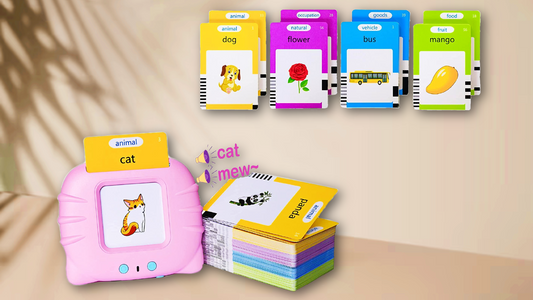224 Early Educational Talking Flash Card Dee For 1-6+ Year Olds